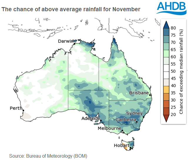 Chance of above average rainfall map - November, Australia